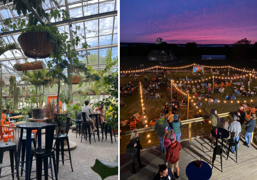 The Ultimate Guide to Trivia Nights at Bars in Eastern Massachusetts